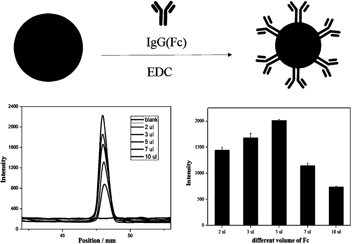 Test strip for detecting tetanus antibody on basis of quantum dot fluorescent microsphere chromatography and preparation method and using method thereof