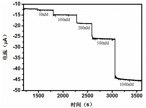 Bioelectrochemical detection method for vitamin B2