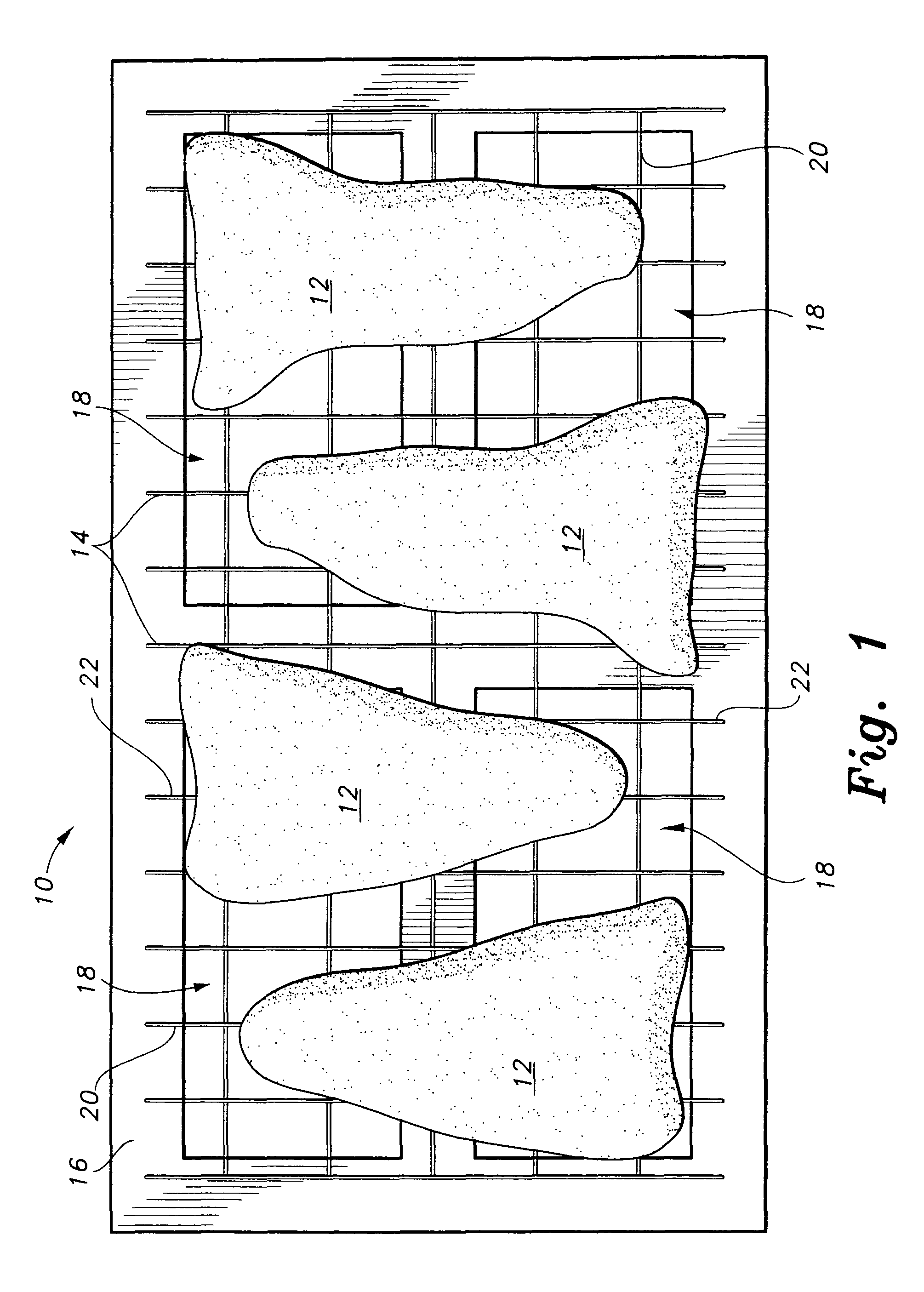 Method of smoking fish