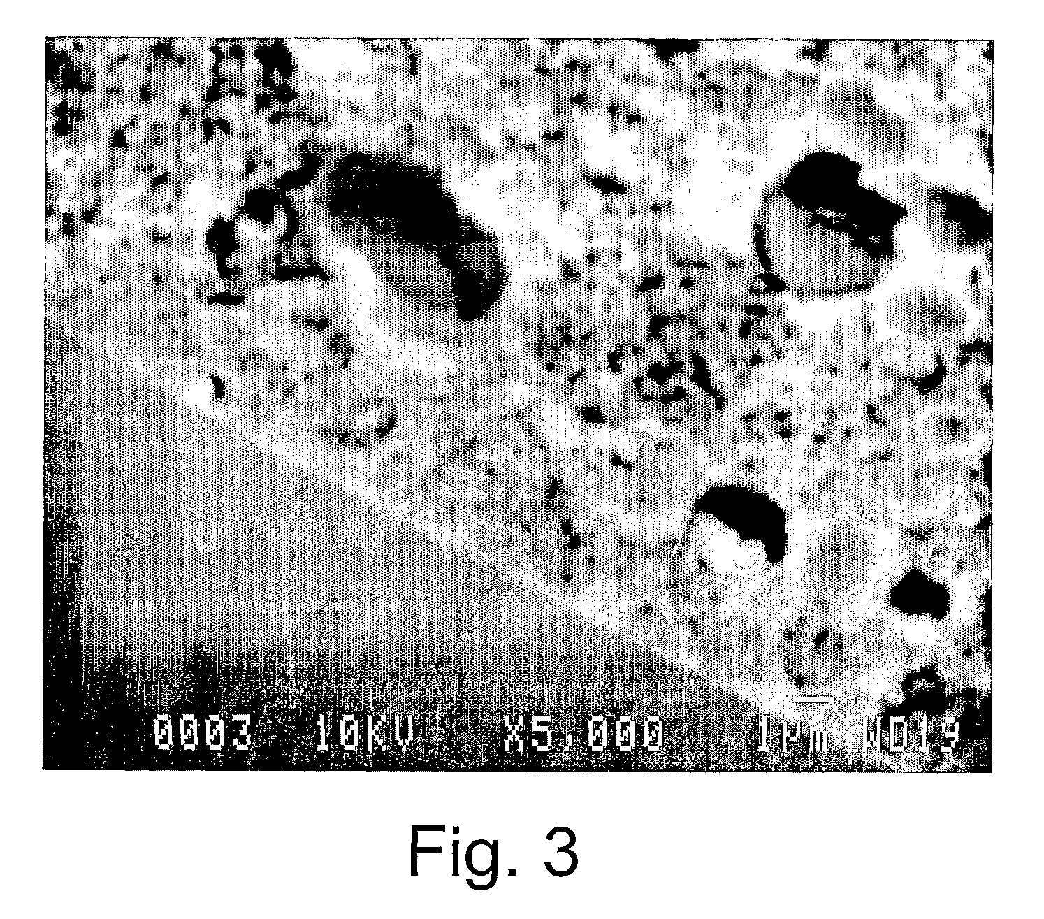 Highly microporous thermoplastic/bismaleimide semi-interpenetrating polymer network