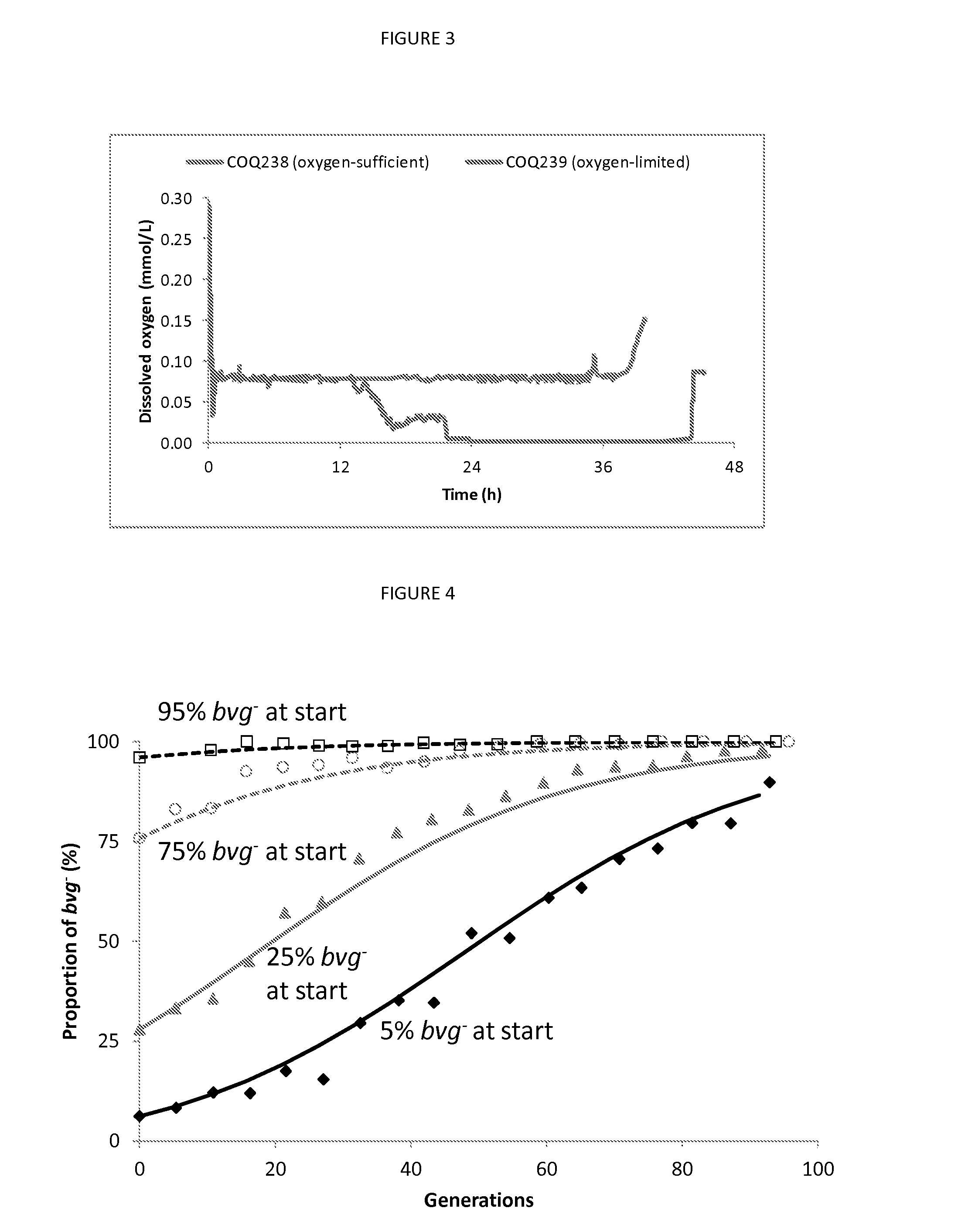 Fermentation process