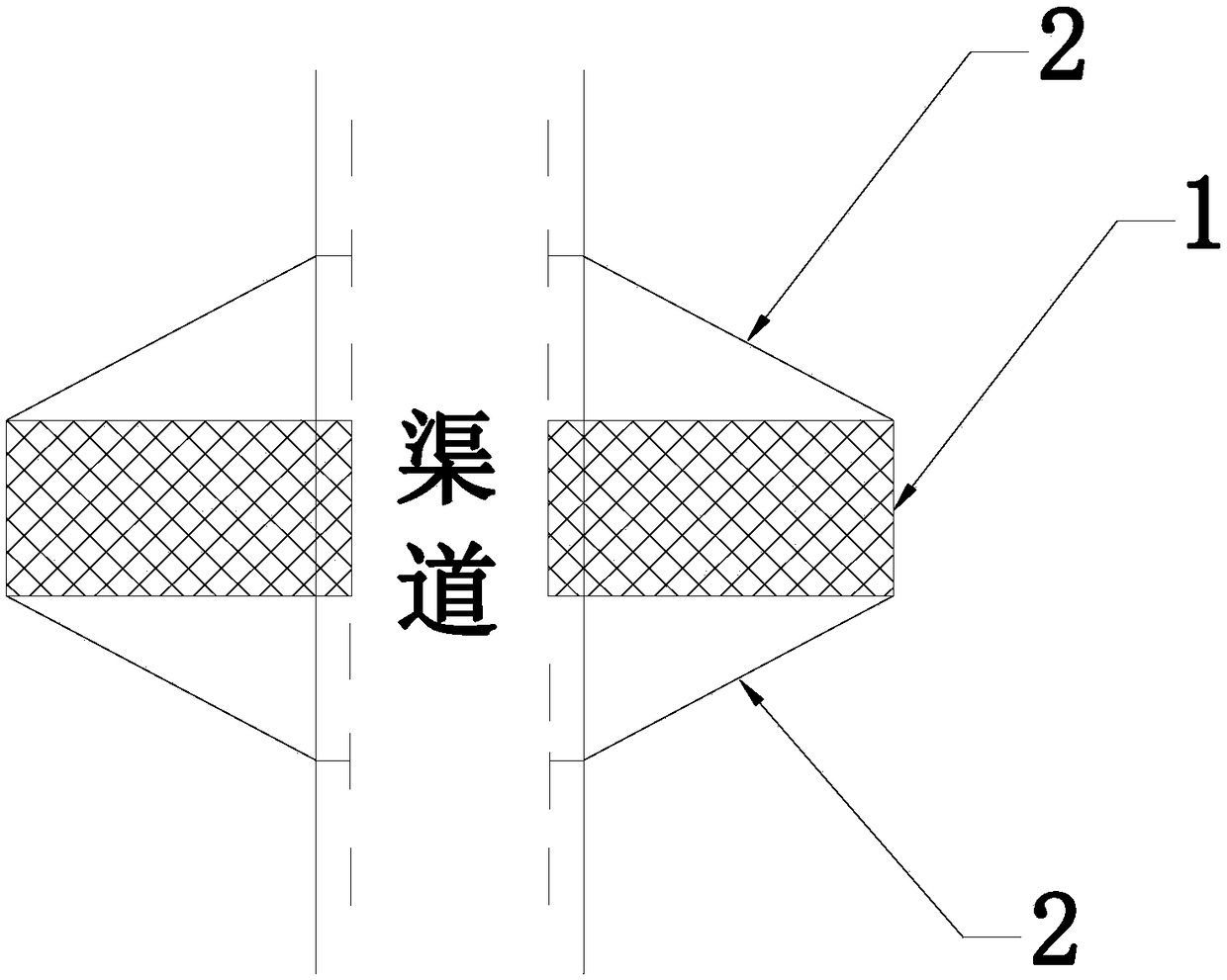 Screen type biological channel of lined canal