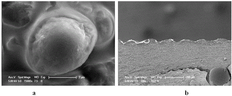 Micro-nano coating material with low surface energy and preparation method thereof