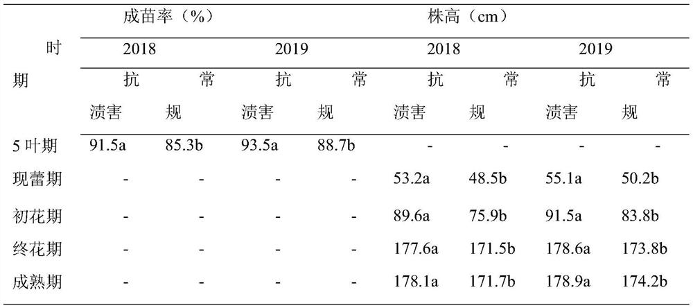 Waterlogging-resistant cultivation method of Brassica napus L.