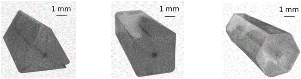 Microchannel and manufacture method thereof