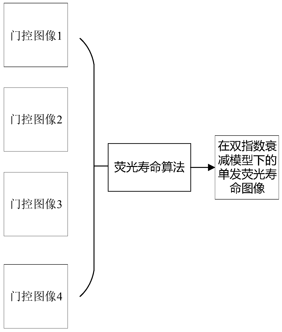 Rapid fluorescence lifetime imaging system and method for flow field diagnosis