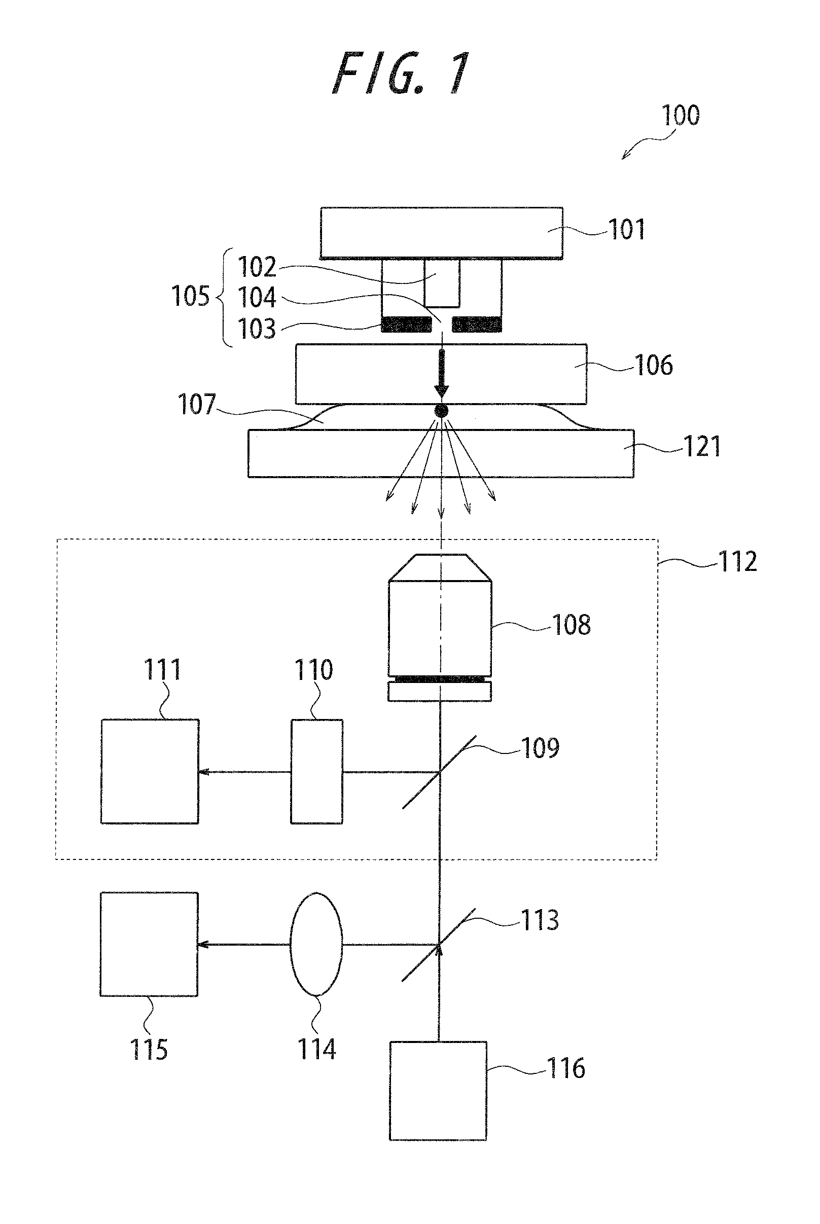 Near-field optical microscope, near-field optical probe, and sample observation method