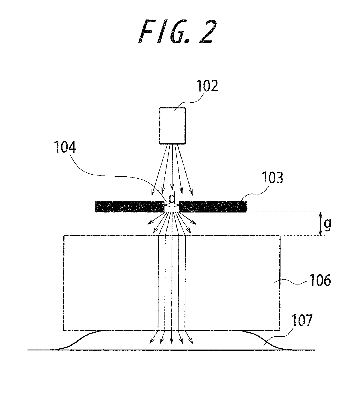 Near-field optical microscope, near-field optical probe, and sample observation method