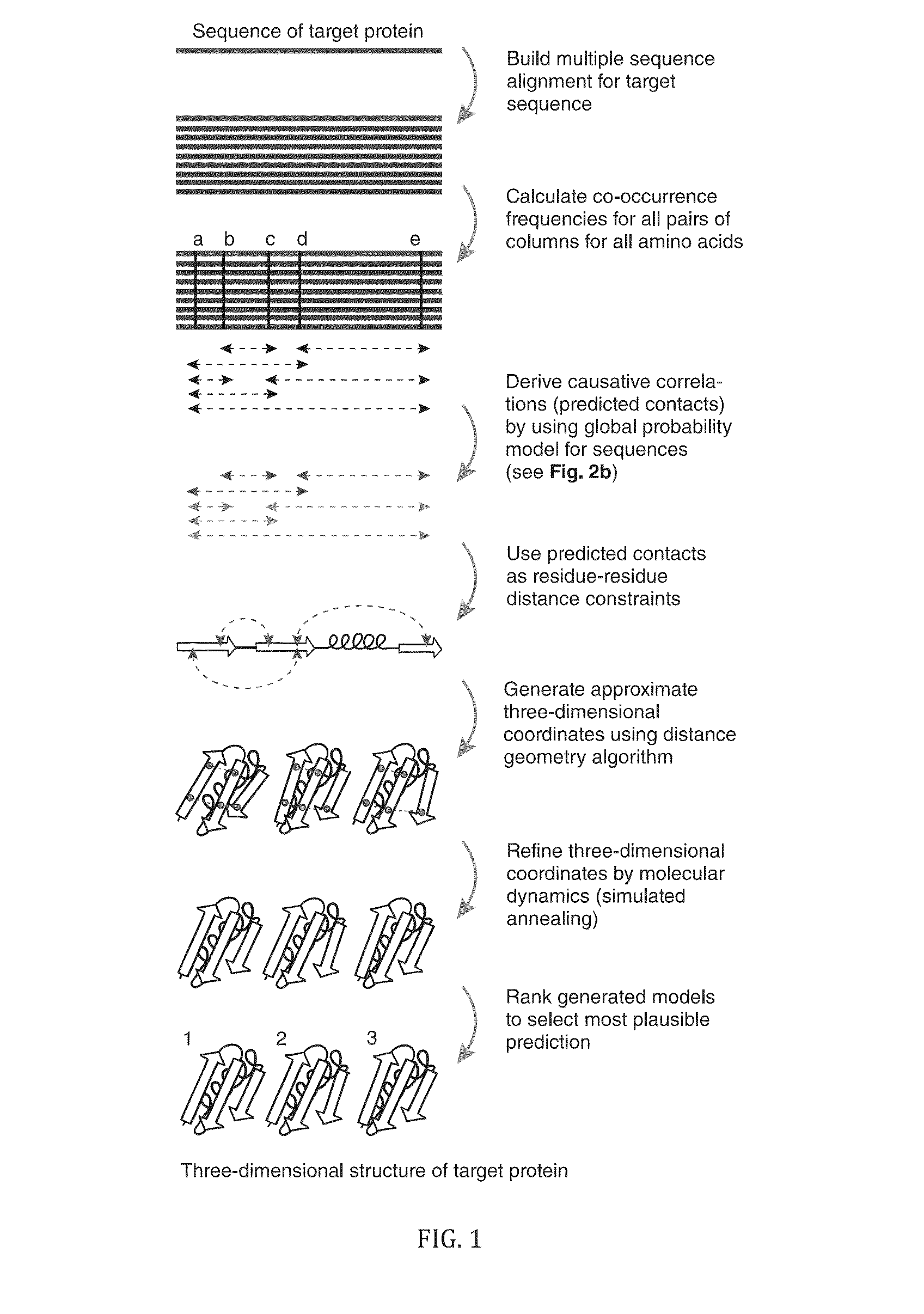 Methods and apparatus for predicting protein structure