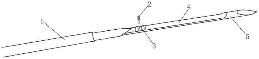 A mechanism for marking tumor borders on biopsy needles