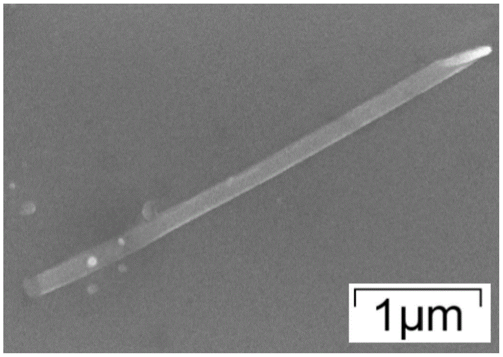 Liquid phase stripping preparation method for phosphaalkene nanoribbon or phosphorus nanoribbon