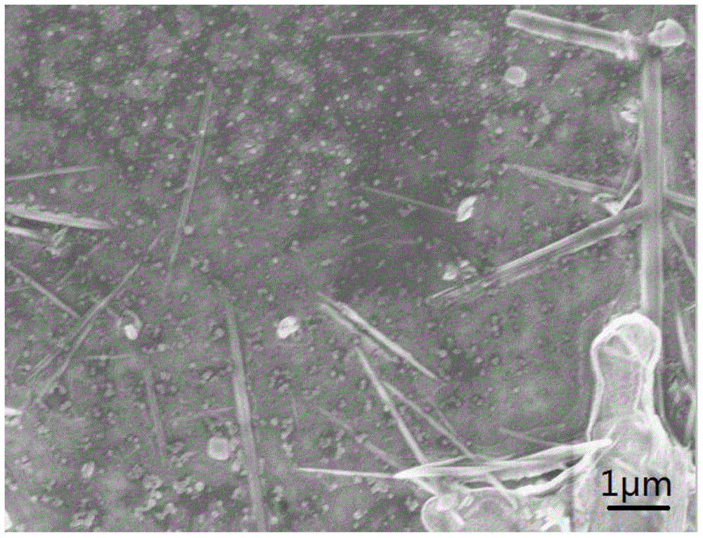 Liquid phase stripping preparation method for phosphaalkene nanoribbon or phosphorus nanoribbon