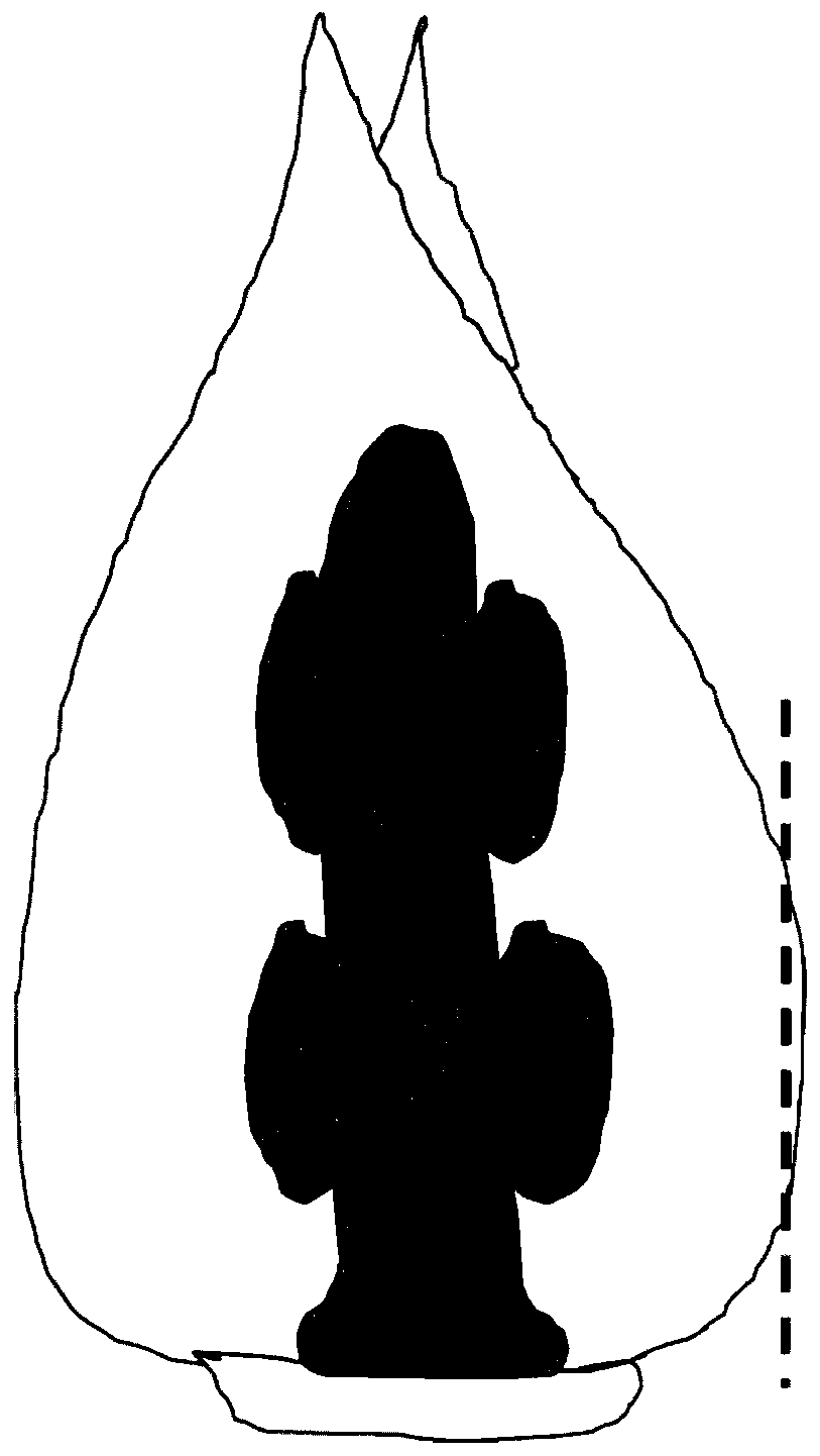 A slicing method suitable for observing the anatomical structure of rubber tree flowers