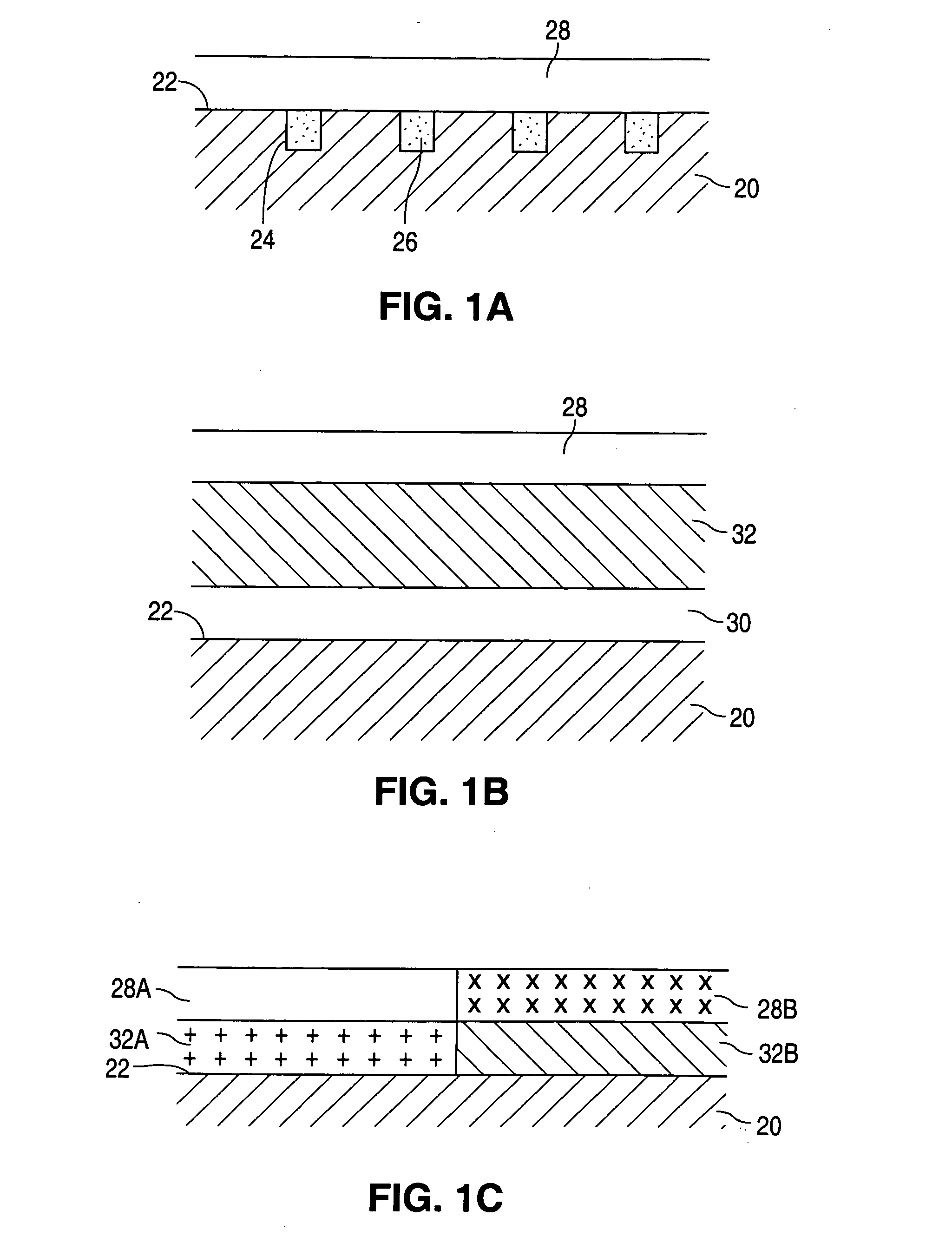 40-O-(2-hydroxy)ethyl-rapamycin coated stent