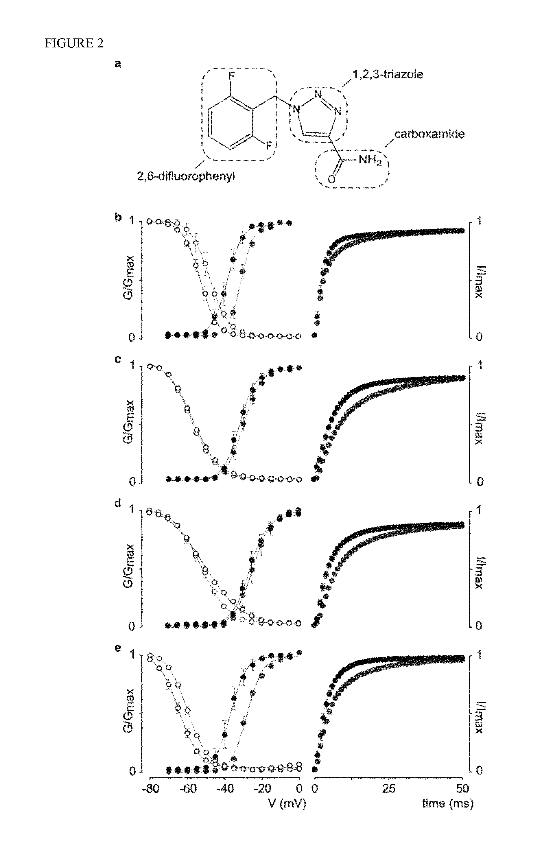 Rufinamide and derivatives and their use in modulating the gating process of human voltage-gated sodium channels