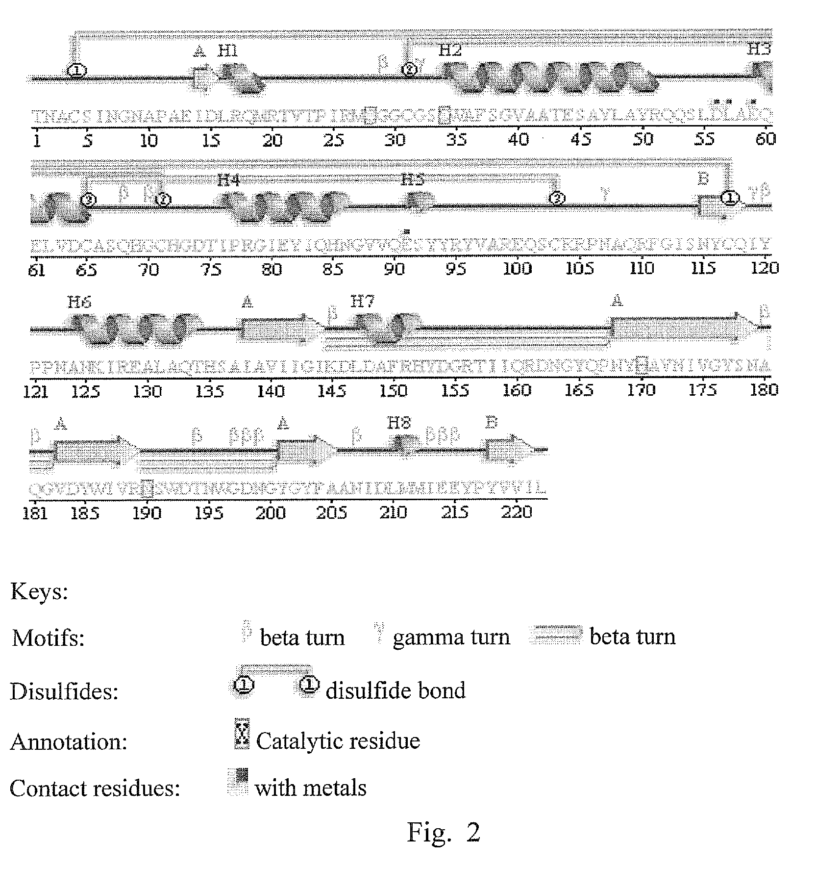 Synthetic Oligopeptides Designed From Mite Cysteine Proteases and Methods for the Production of