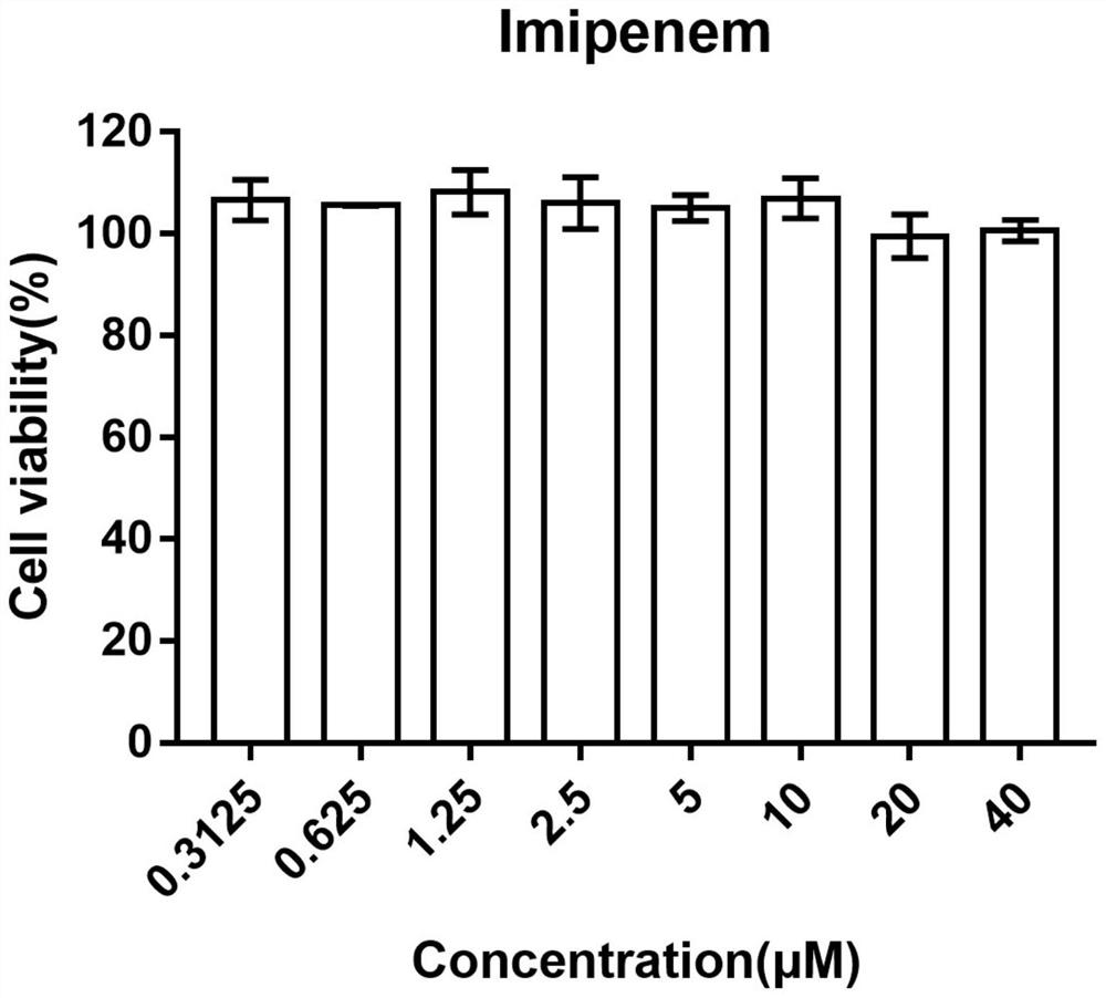 Application of imipenem in the preparation of drugs for the treatment of inflammatory storms caused by infectious diseases