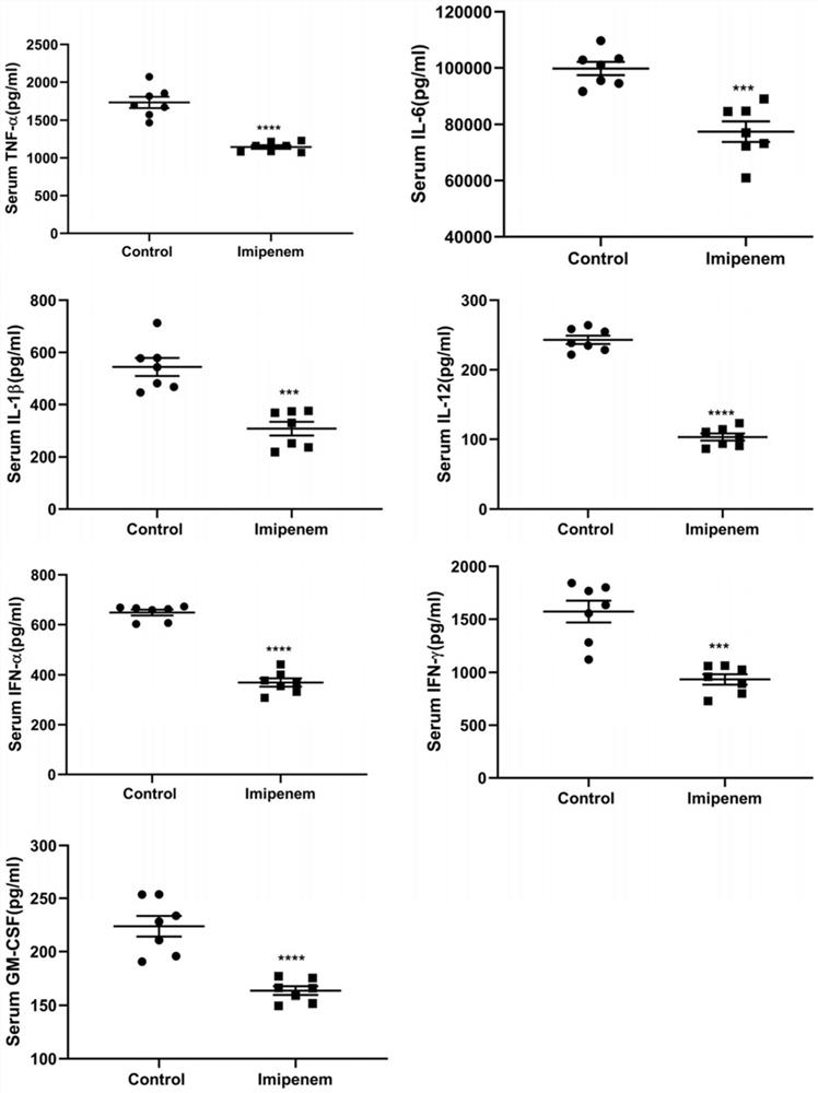 Application of imipenem in the preparation of drugs for the treatment of inflammatory storms caused by infectious diseases