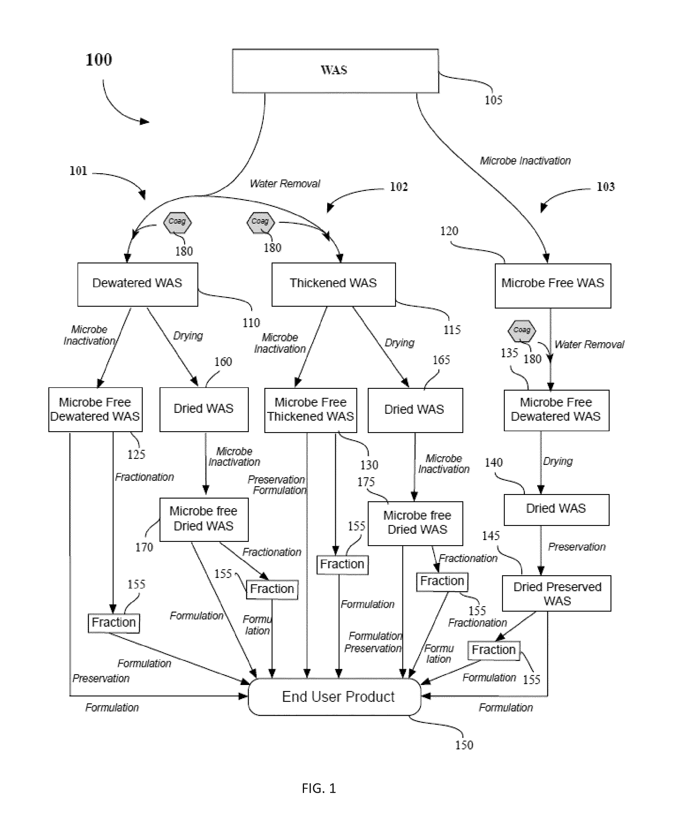 Methods of processing waste activated sludge