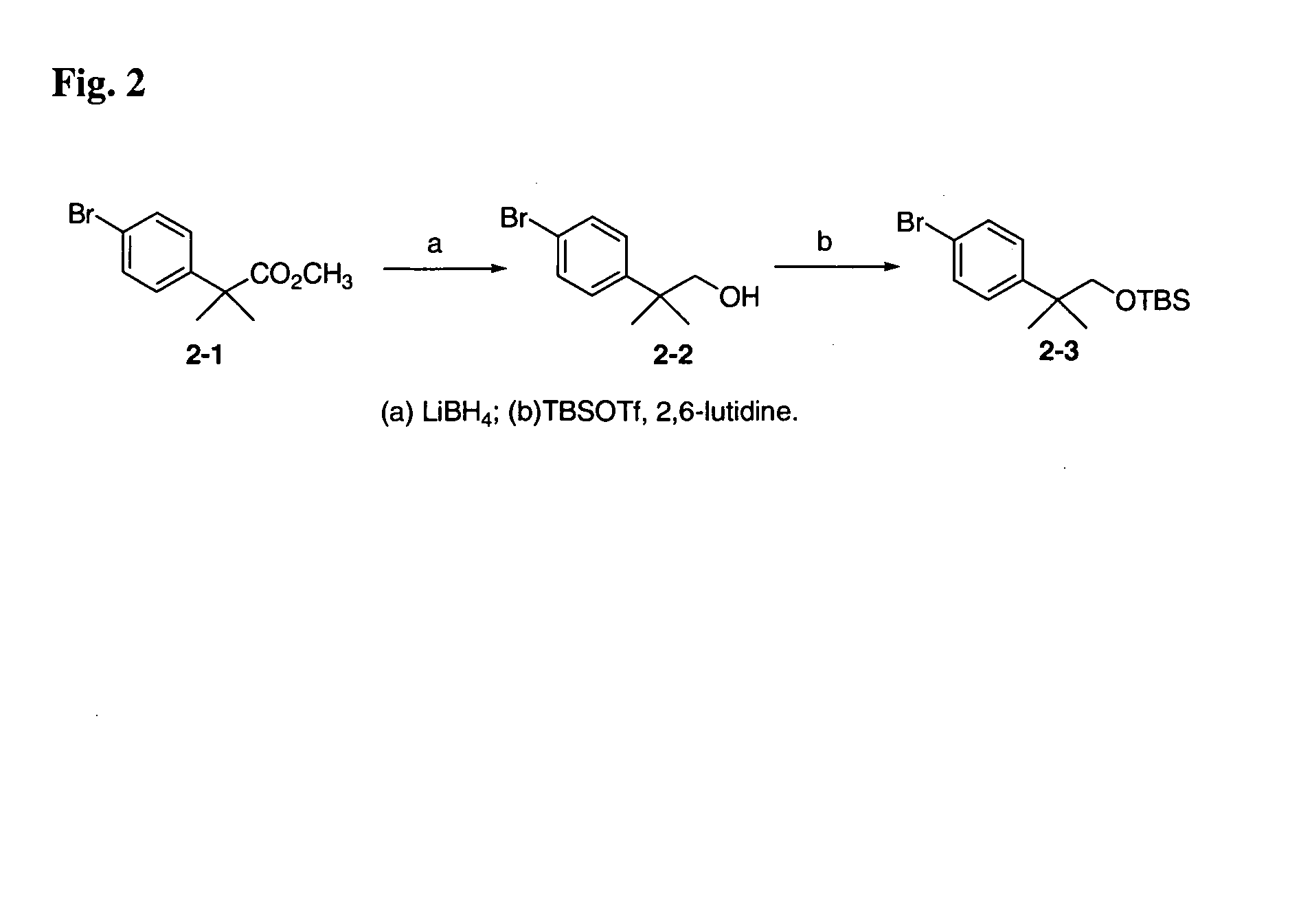 12-Aryl prostaglandin analogs