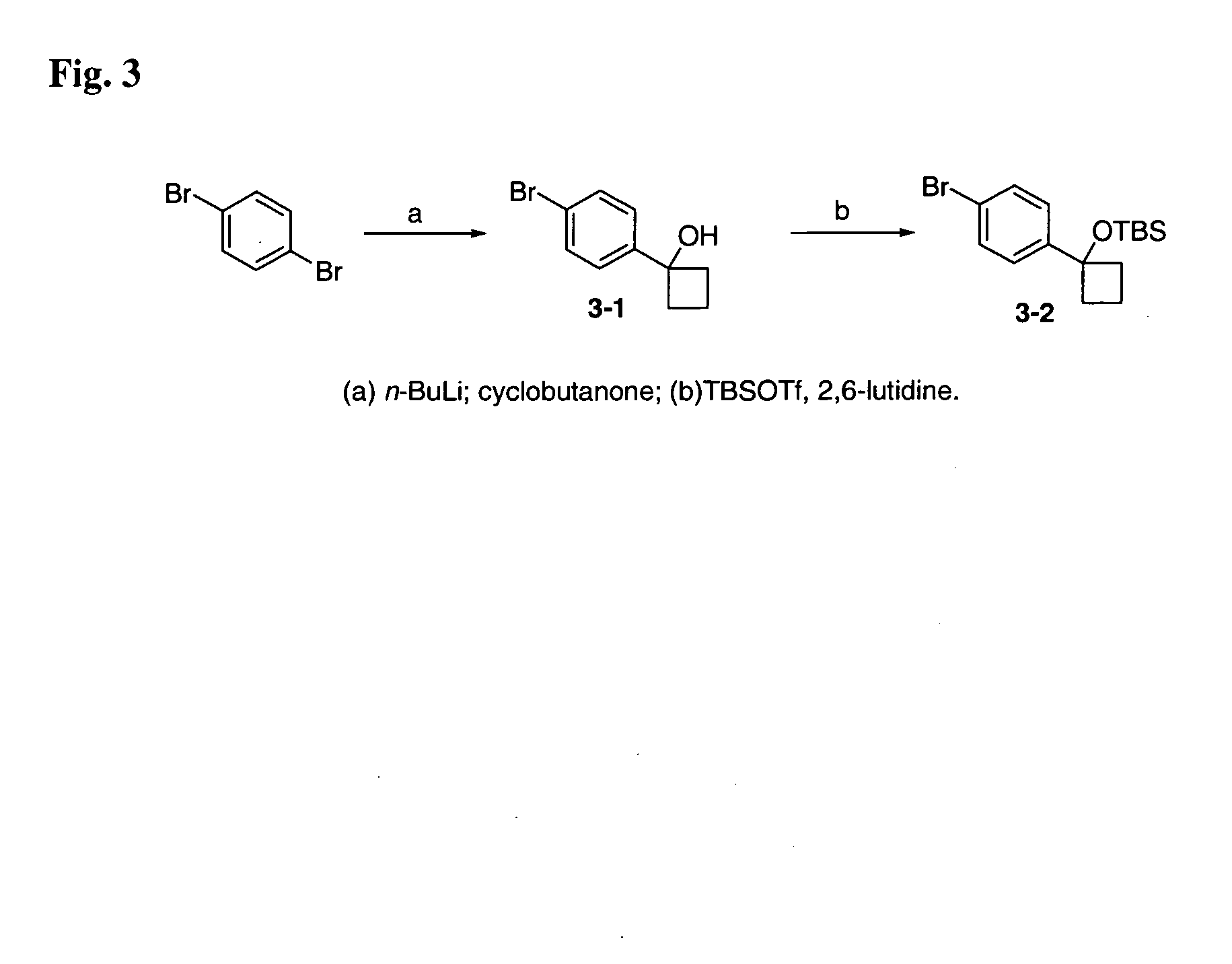 12-Aryl prostaglandin analogs