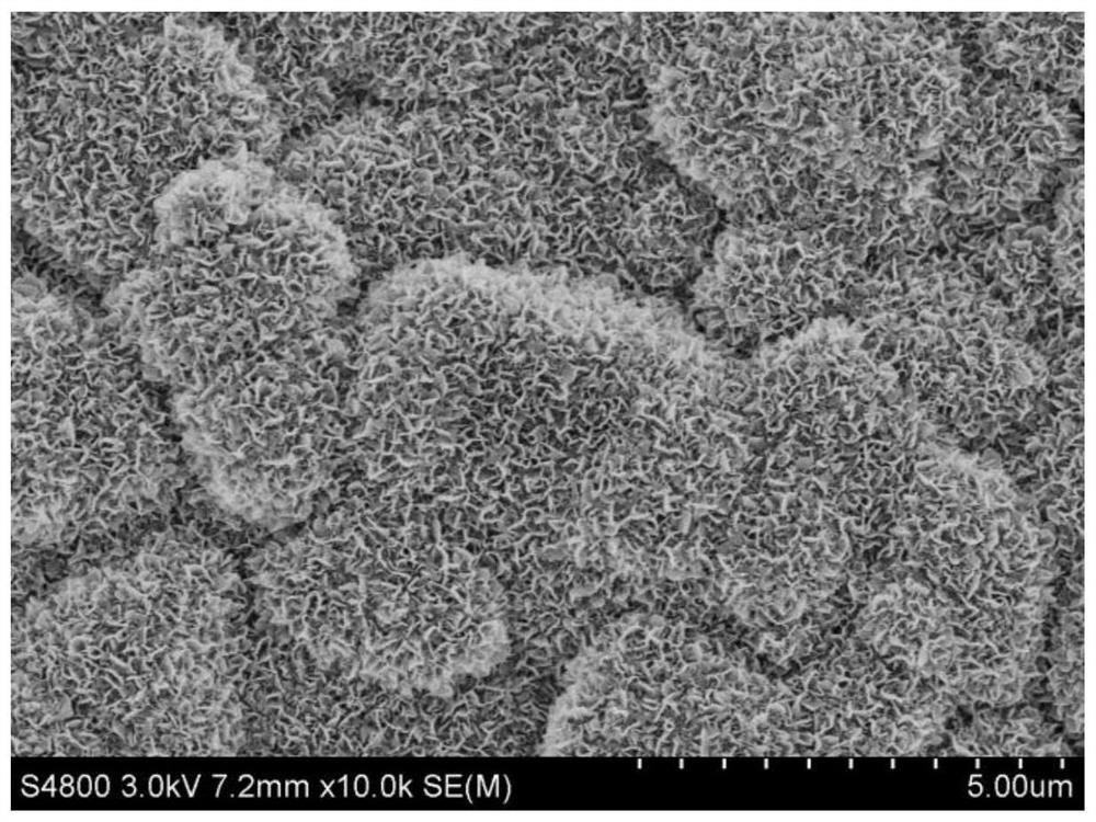 Preparation method of vertically-arranged boron nitride nanosheet film and material with surface provided with vertically-arranged boron nitride nanosheet film