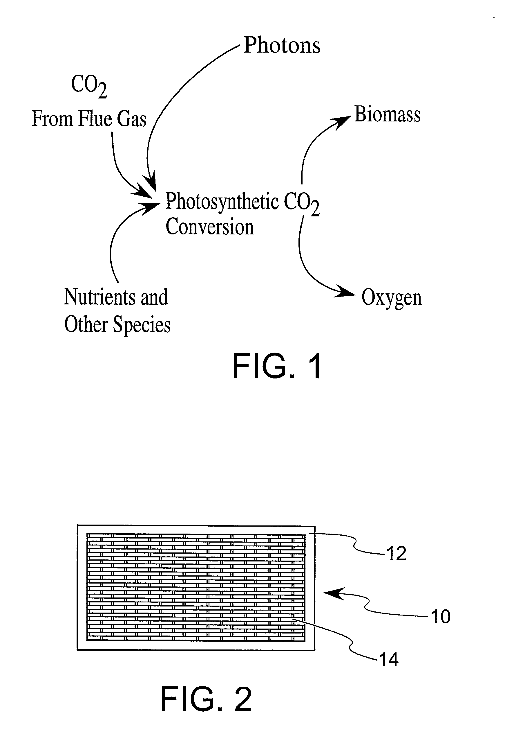 Enhanced practical photosynthetic CO2 mitigation