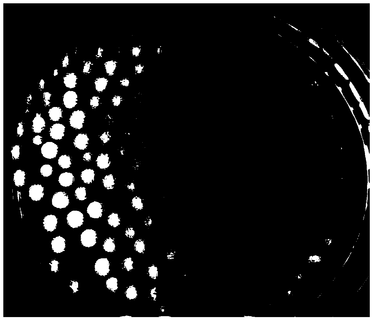 A method for removing hexavalent chromium in solution by marine Aspergillus niger