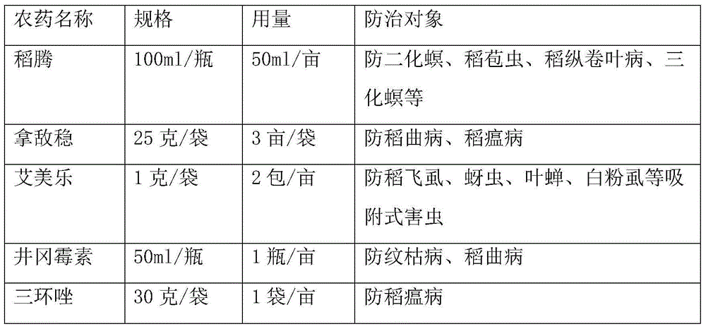 High-yield planting method for super hybrid indica type rice in high-latitude saline-alkali soil