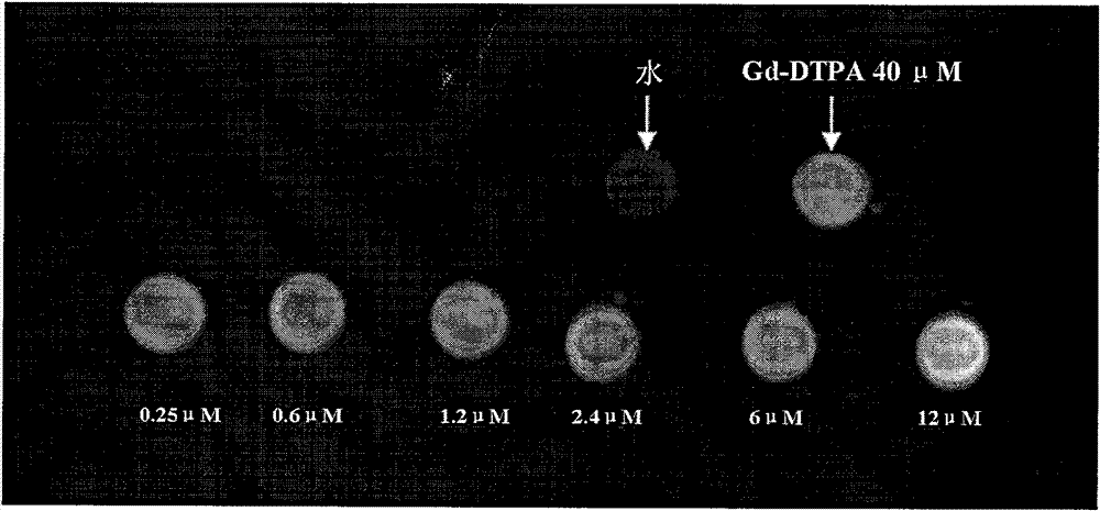 Active targeting polymer nanoparticle magnetic resonance contrast agent and preparation method thereof