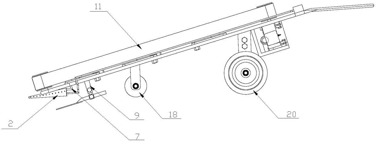 Multi-variety-adaptive leafy vegetable harvester and harvesting method