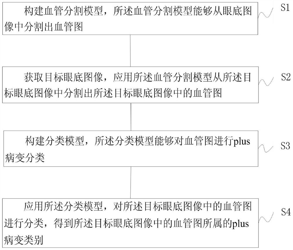 Classification of retinopathy of prematurity plus lesions