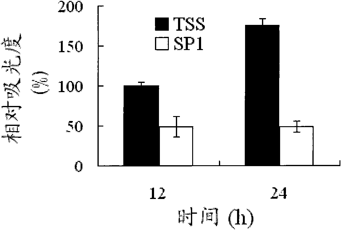 Bacterium for reducing mercury pollution in seawater and application thereof