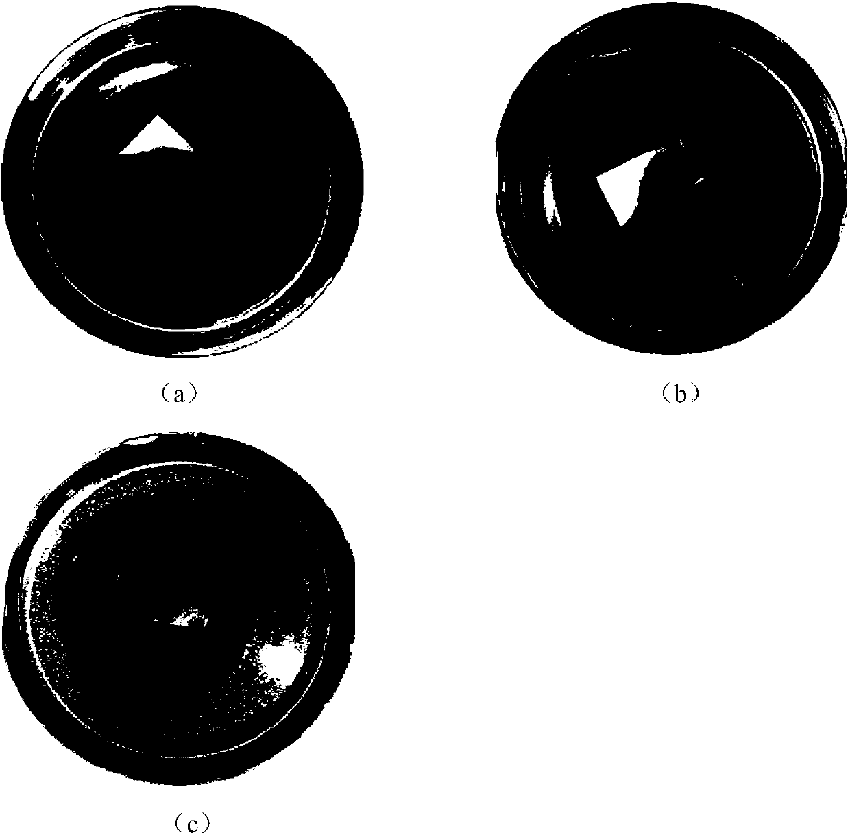 Medical antibacterial coating layer and preparation method thereof