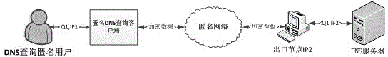 DNS query method based on anonymous network