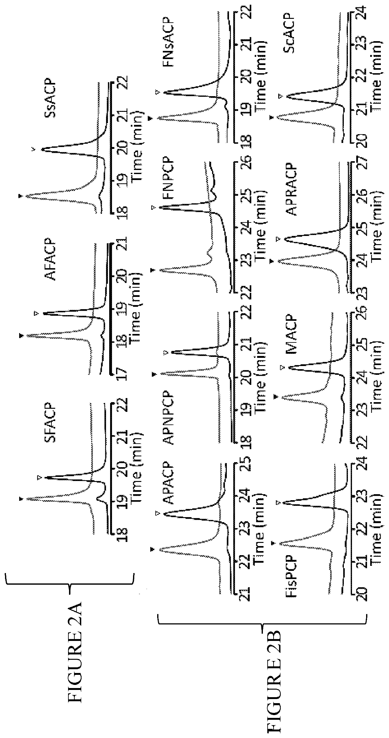 Cyanobacterial hosts and methods for producing chemicals