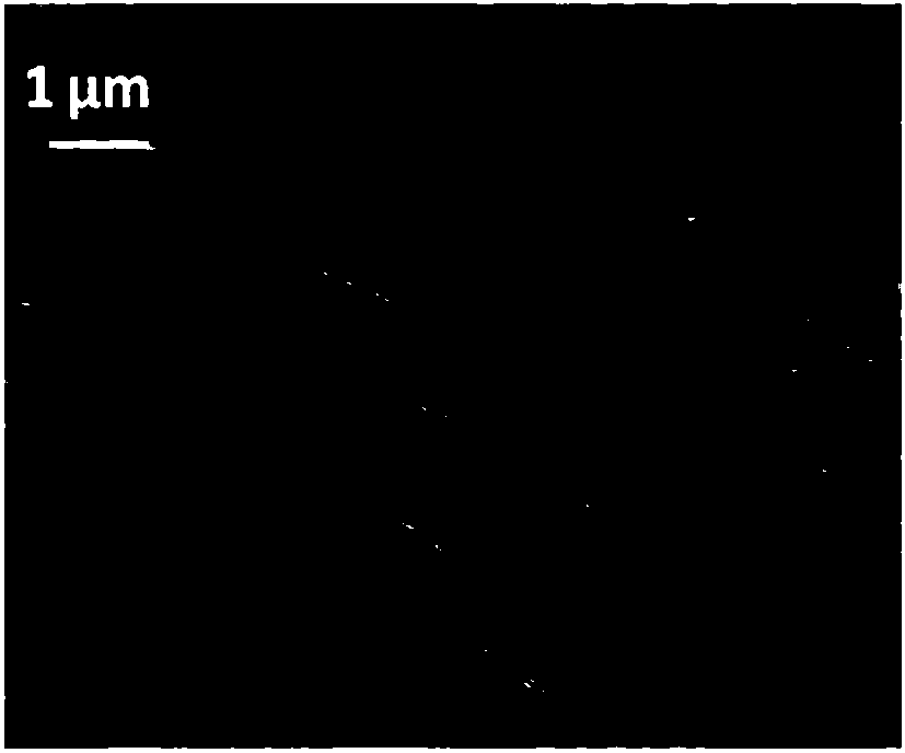 Beaded fiber material with bead shape and preparation method thereof