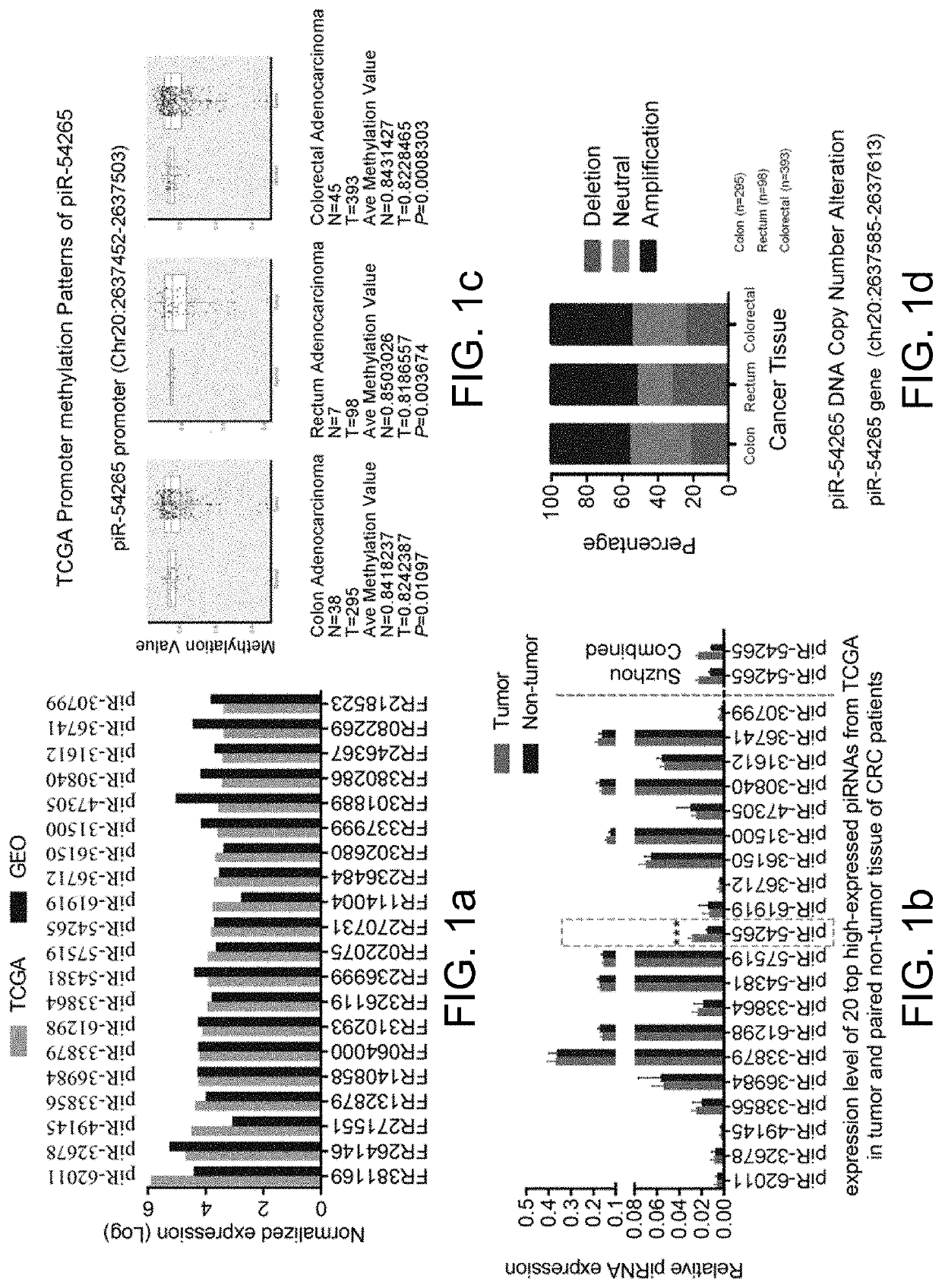 Use of pirna-54265 in diagnosis, treatment, and prognostic evaluation of colorectal cancer