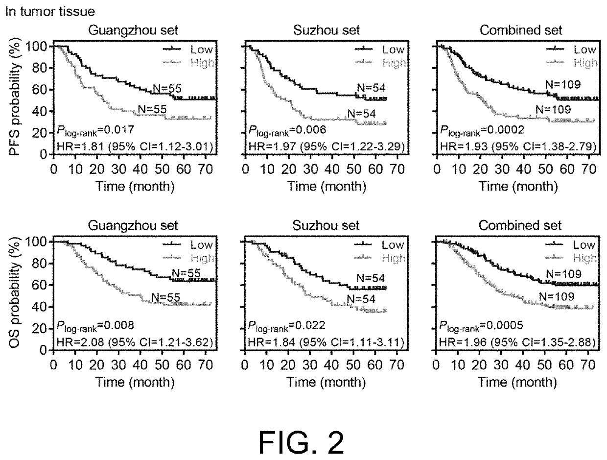 Use of pirna-54265 in diagnosis, treatment, and prognostic evaluation of colorectal cancer