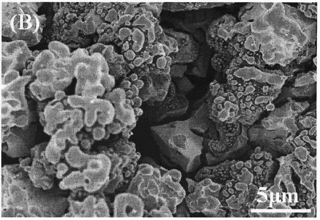 Preparation method and application of Ag/AgBr@TiO2/CA electrode