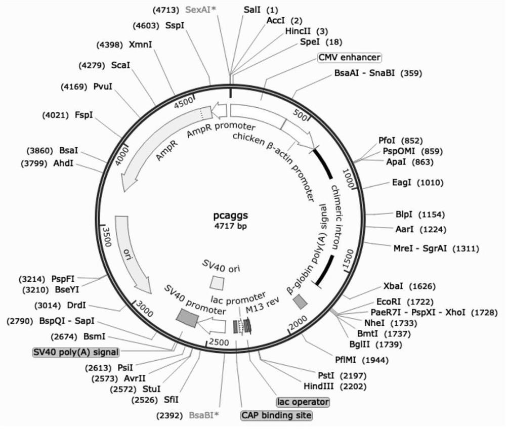 Recombinant avian influenza subunit vaccine and preparation method thereof