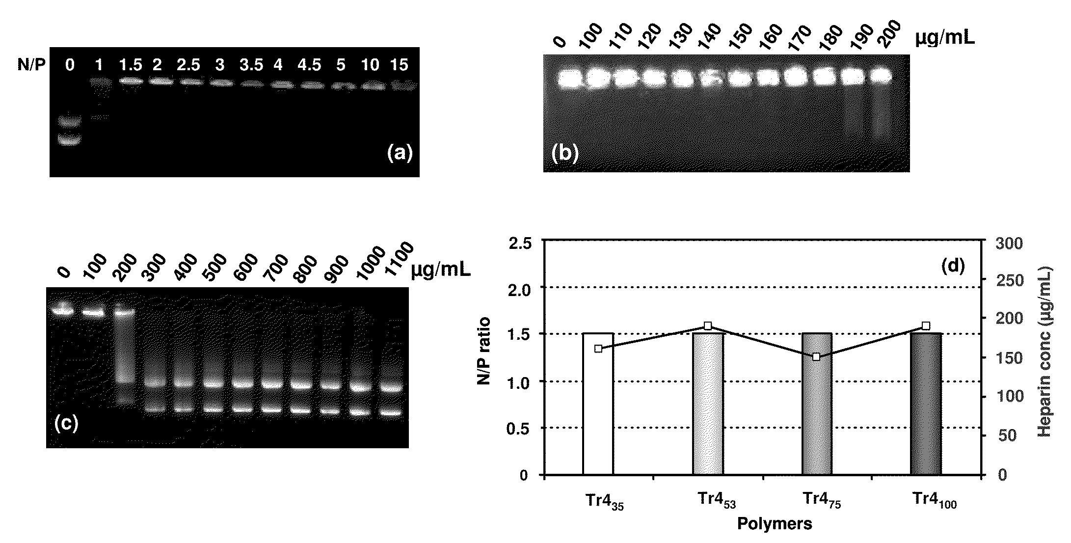 Trehalose Click Polymers for Delivery of Biologically Active Molecules