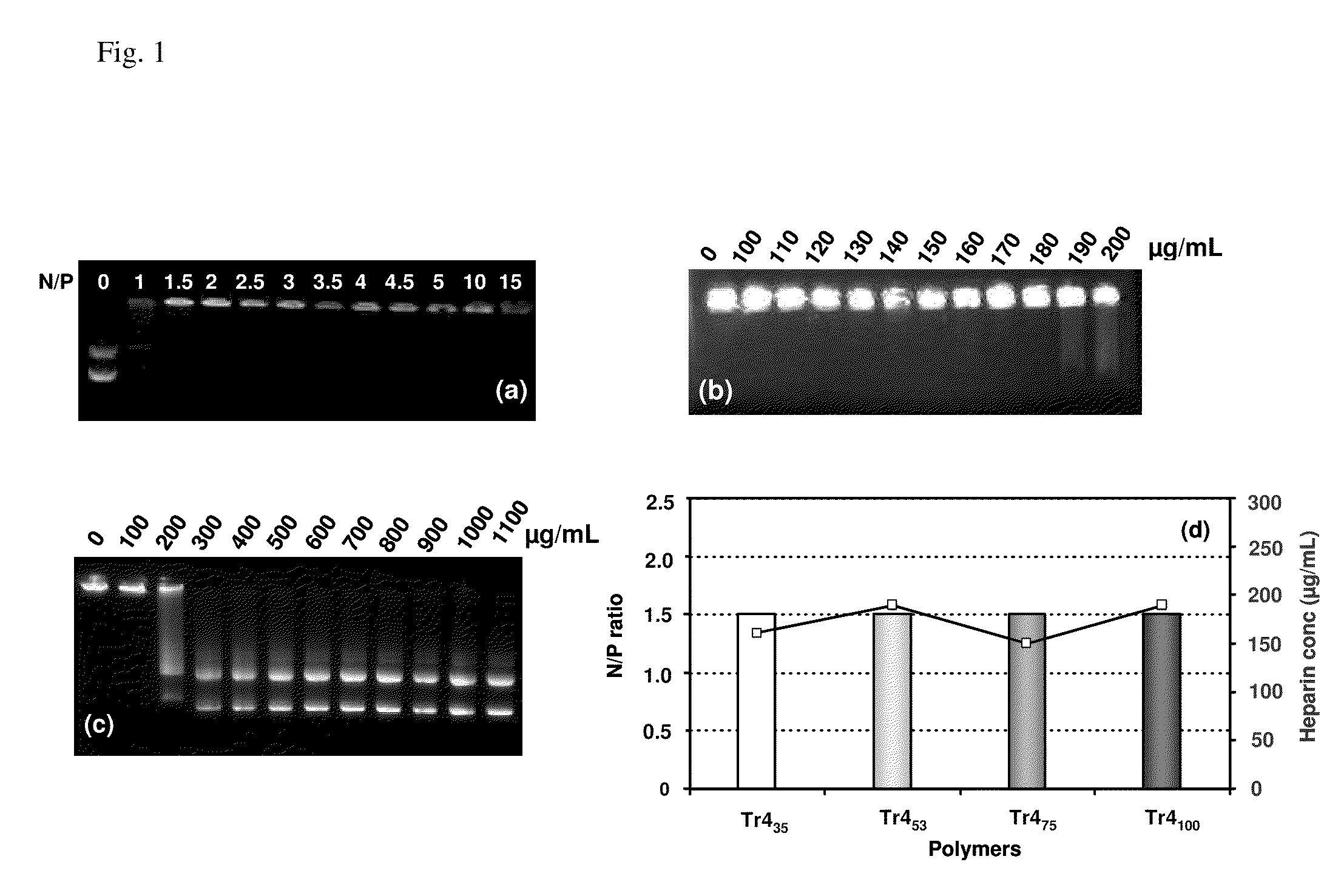 Trehalose Click Polymers for Delivery of Biologically Active Molecules