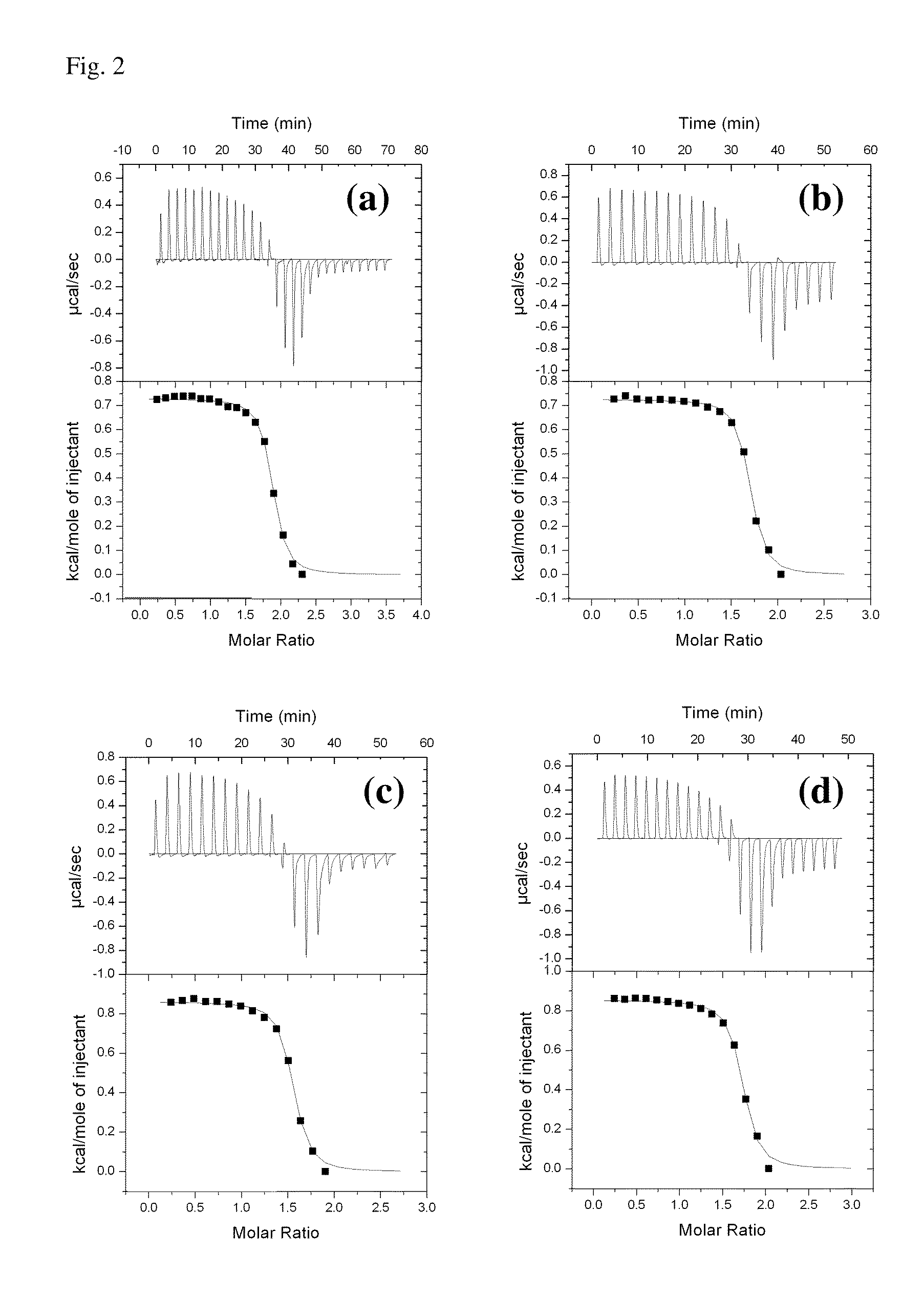 Trehalose Click Polymers for Delivery of Biologically Active Molecules