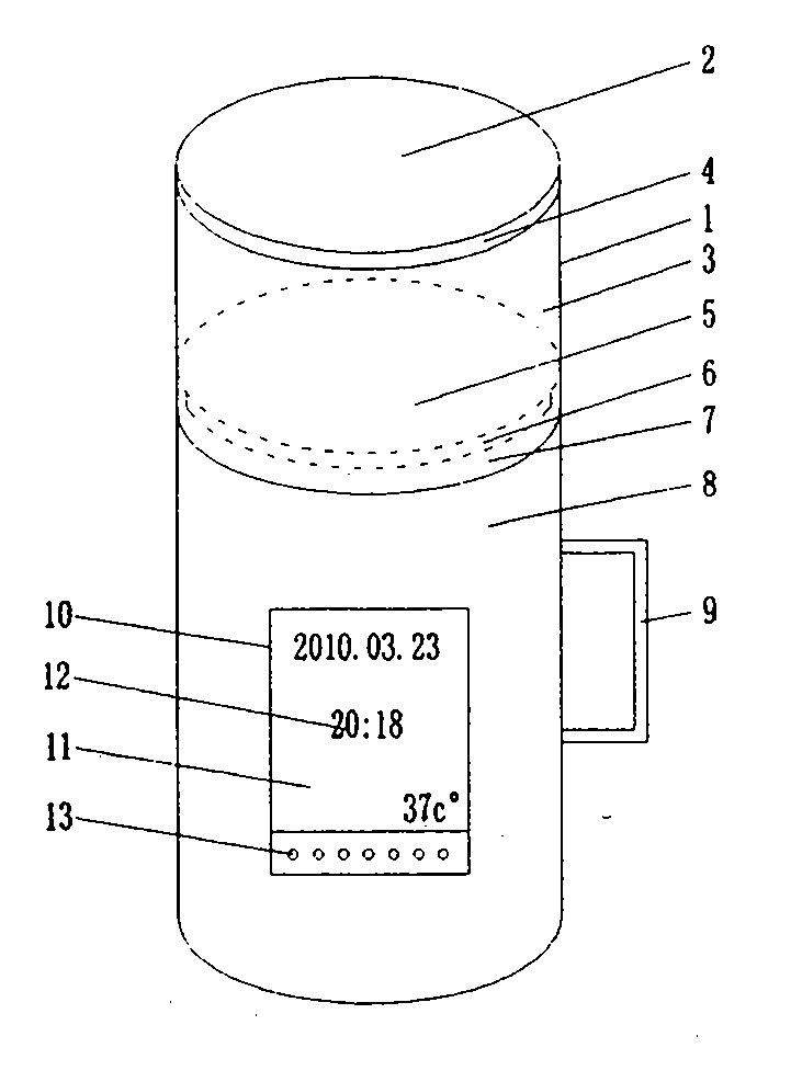 Cup digital music video player