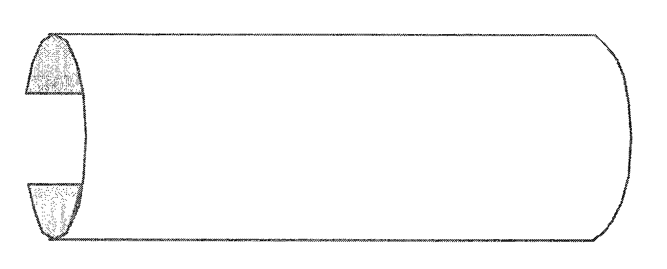 Method of tendon repair with amnion and chorion constructs