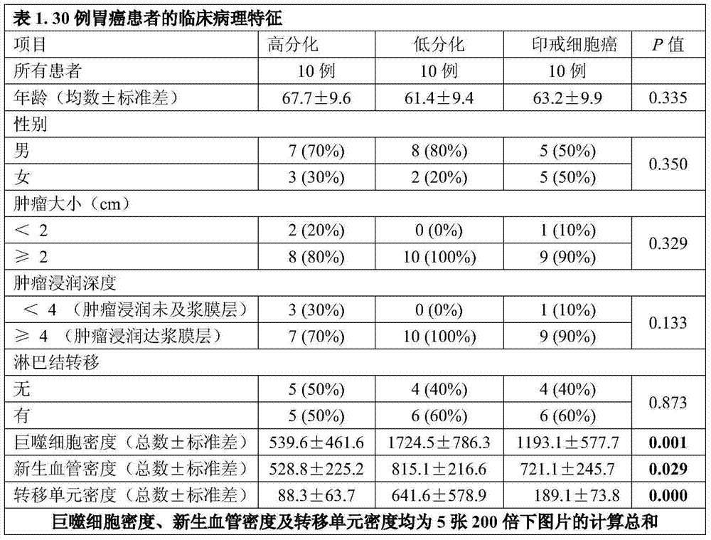 Tumor metastasis unit counting method based on quantum dot spectrum analysis and image parsing