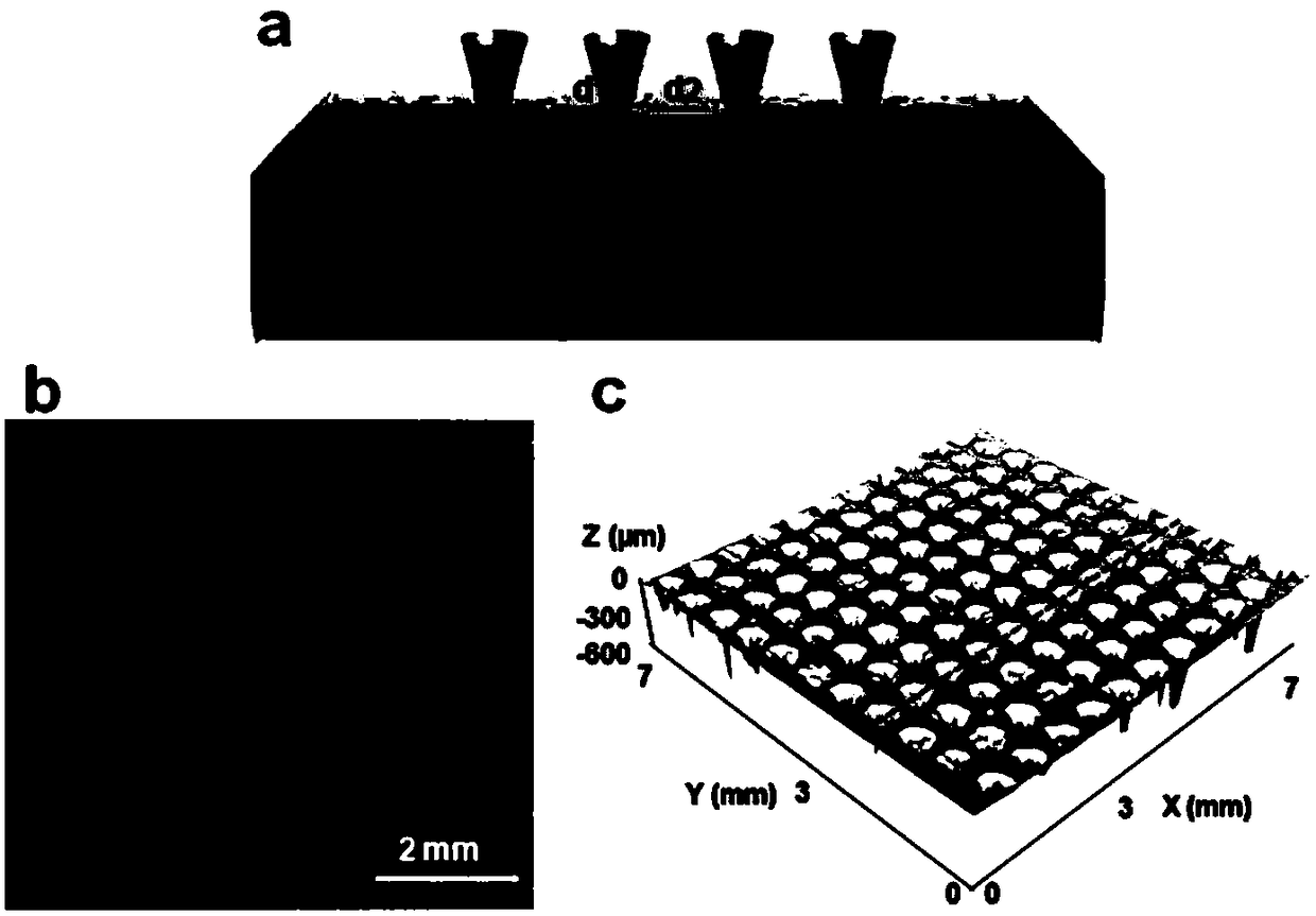 Micro-needle patch capable of intelligently regulating blood glucose and preparation method thereof