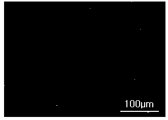 Chitosan sponge surgical dressing and preparation method thereof