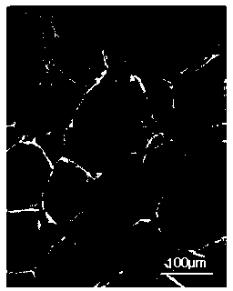 Chitosan sponge surgical dressing and preparation method thereof